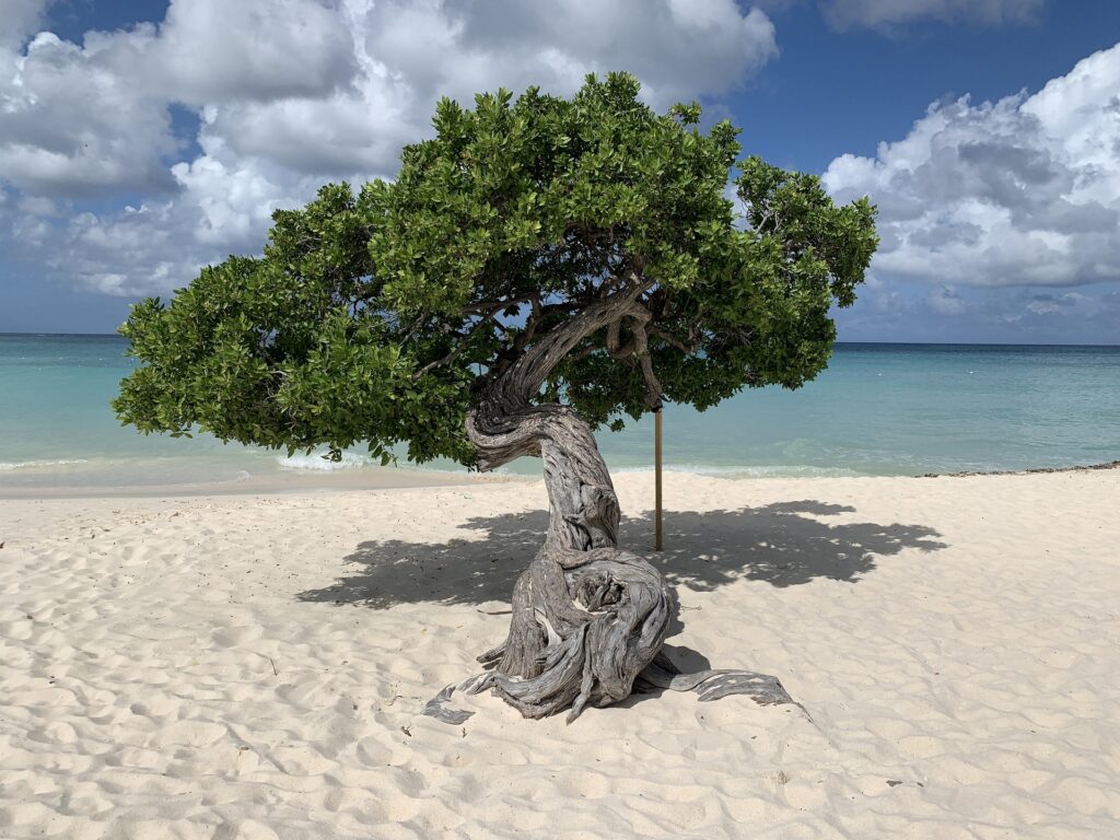 Aruba one happy island