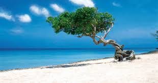Aruba, One happy island, i Caraibi tutto l'anno