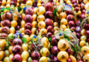 mercato-delle-cipolle-di-berna-travelfeliz