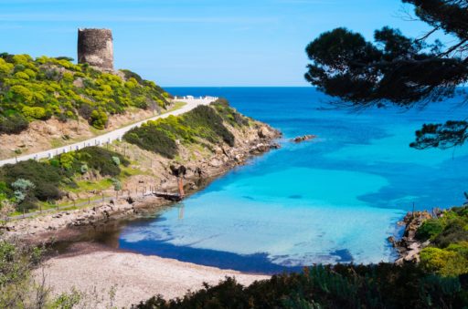 parco asinara sardegna