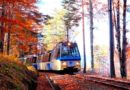 treno-del-foliage-domodossola