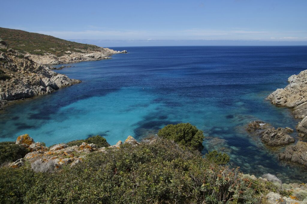 Visitare l'Asinara in catamarano