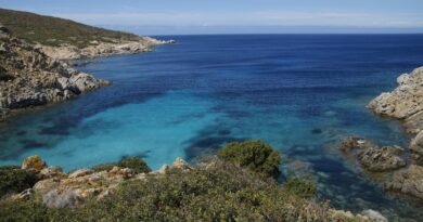Visitare l'Asinara in catamarano
