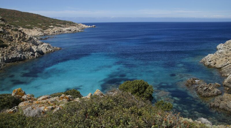 Visitare l'Asinara in catamarano